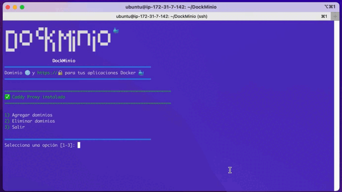 DockMinio - Eliminar dominio de contenedor Docker