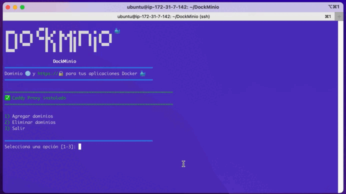 DockMinio